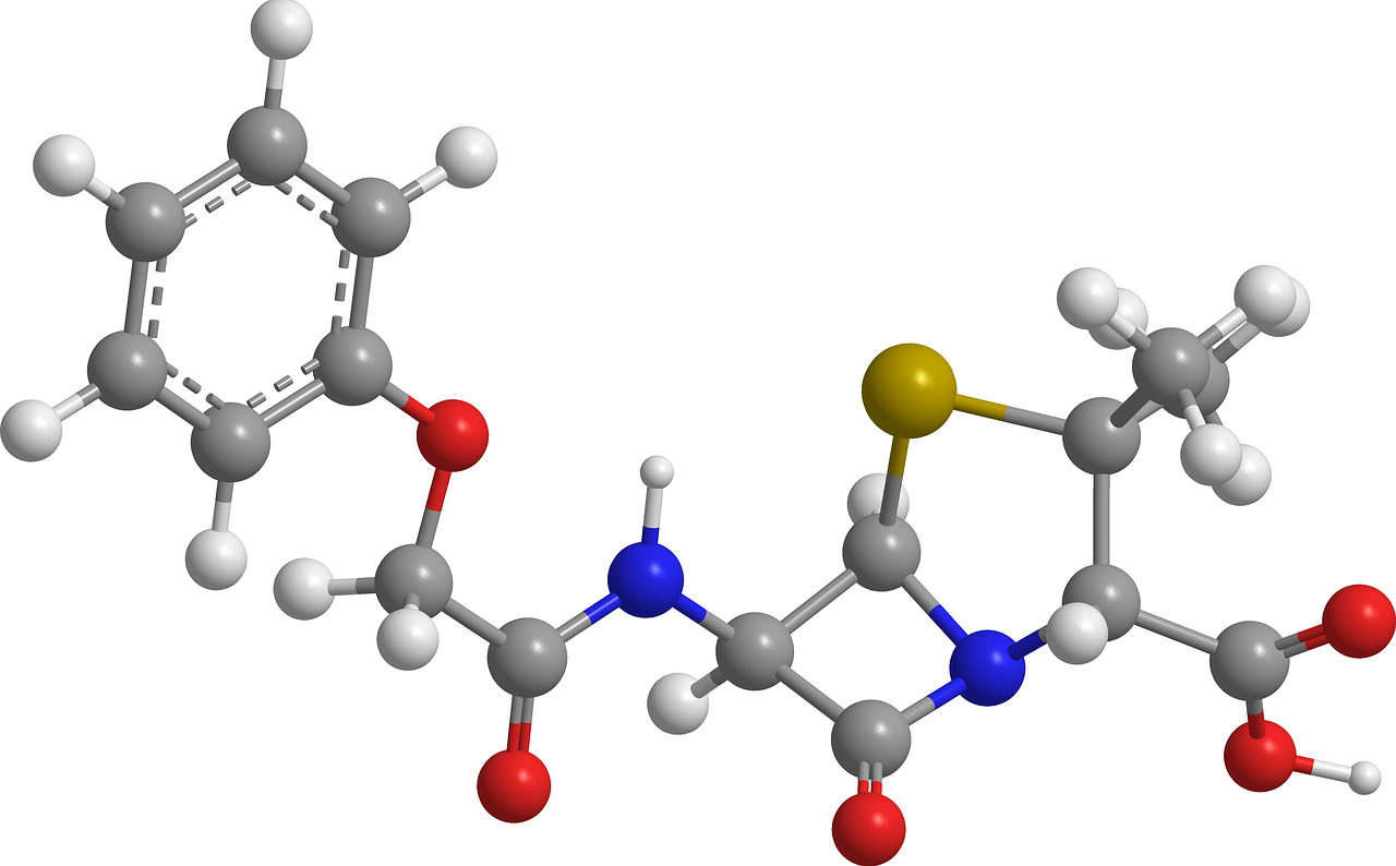 Amoxicillin Procurement Trends