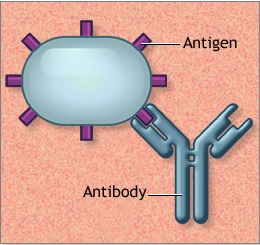 Antigens Procurement Trends 2024