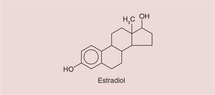 Estradiol Procurement Trends 2024