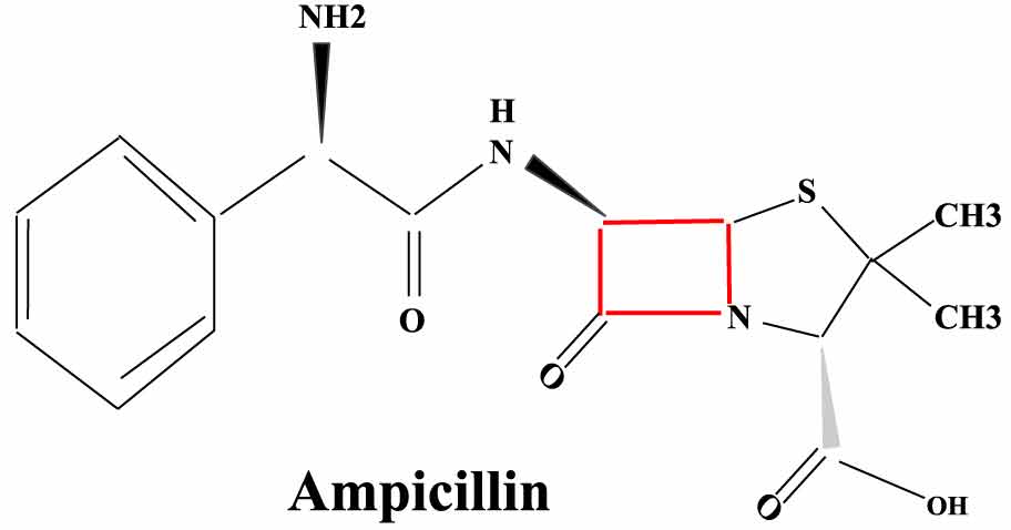 Ampicillin Procurement Trends 2024